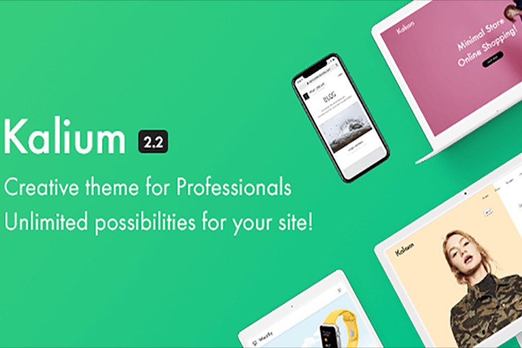 5 Best Responsive WordPress Themes for Architects and Architectural Firms
