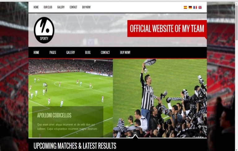 5 Best WordPress Sports Themes