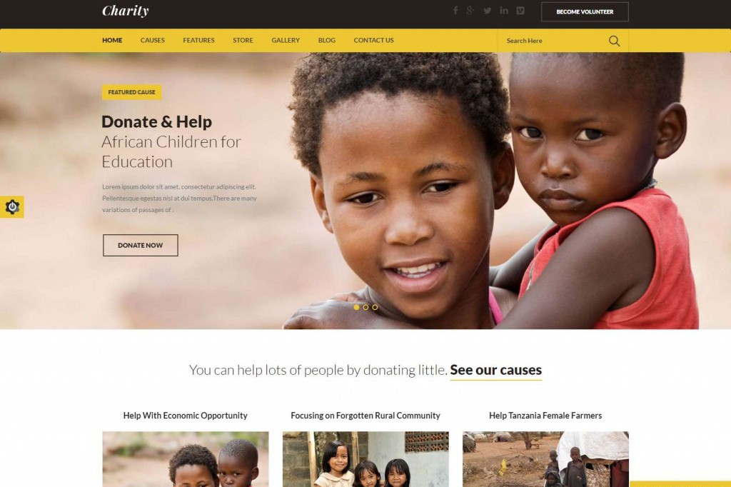 8 Clean, Subtle WordPress Themes for Charity, Nonprofit and Fundraising Organizations-2018