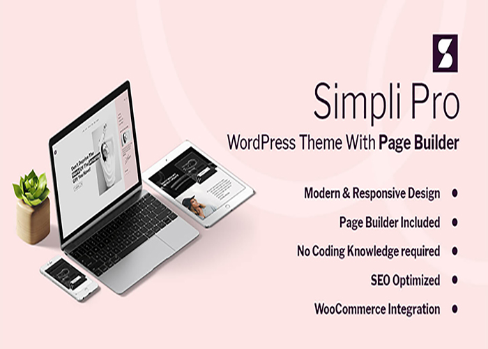 Woocommerce and Blogging WordPress Theme for Women